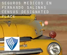 Seguros medicos en Fernando Salinas