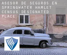 Asesor de seguros en  Springwater Hamlet
