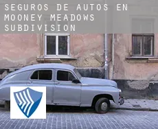 Seguros de autos en  Mooney Meadows Subdivision