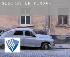 Seguros en  Pinoak