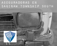 Aseguradoras en Saginaw Township South