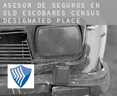 Asesor de seguros en  Old Escobares