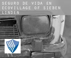 Seguro de vida en  Ecovillage of Sieben Linden