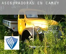 Aseguradoras en  Camuy