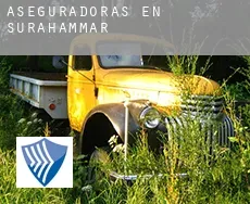 Aseguradoras en  Surahammar Municipality