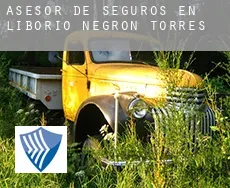 Asesor de seguros en  Liborio Negron Torres