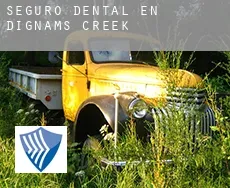 Seguro dental en  Dignams Creek