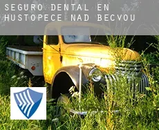 Seguro dental en Hustopeče Nad Bečvou