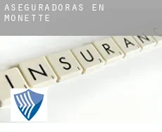 Aseguradoras en  Monette