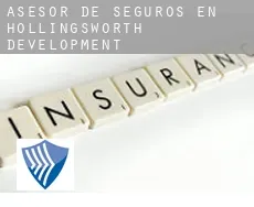 Asesor de seguros en  Hollingsworth Development