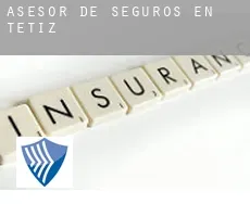 Asesor de seguros en  Tetiz