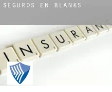 Seguros en  Blanks