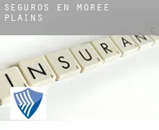 Seguros en  Moree Plains
