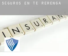 Seguros en  Te Rerenga