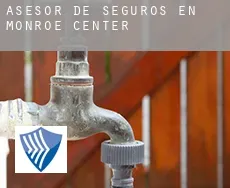 Asesor de seguros en Monroe Center