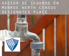Asesor de seguros en  Monroe North