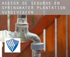 Asesor de seguros en  Springwater Plantation Subdivision