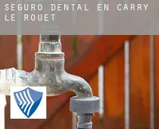 Seguro dental en  Carry-le-Rouet