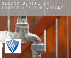 Seguro dental en Courcelles-sur-Viosne