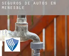 Seguros de autos en Menesble