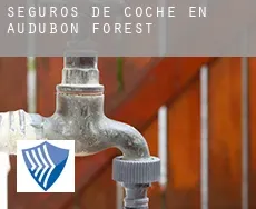 Seguros de coche en  Audubon Forest