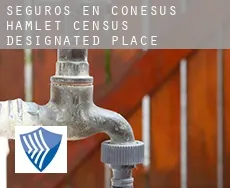 Seguros en  Conesus Hamlet