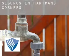 Seguros en  Hartmans Corners