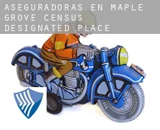 Aseguradoras en  Maple Grove