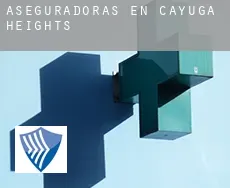Aseguradoras en  Cayuga Heights
