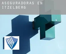 Aseguradoras en  Itzelberg