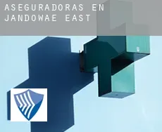 Aseguradoras en  Jandowae East