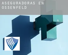 Aseguradoras en  Ossenfeld