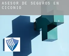 Asesor de seguros en  Ciconio