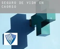 Seguro de vida en Caorso