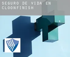 Seguro de vida en  Cloonfinish