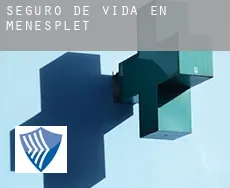 Seguro de vida en Ménesplet