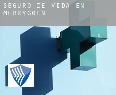 Seguro de vida en Merrygoen