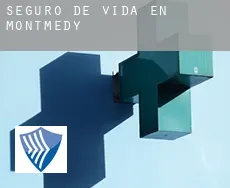 Seguro de vida en  Montmédy