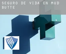 Seguro de vida en  Mud Butte