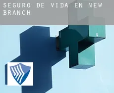 Seguro de vida en New Branch
