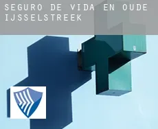Seguro de vida en  Oude IJsselstreek