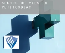 Seguro de vida en  Petitcodiac
