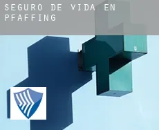 Seguro de vida en  Pfaffing