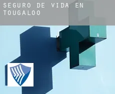 Seguro de vida en  Tougaloo