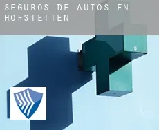 Seguros de autos en  Höfstetten