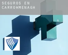 Seguros en  Carrowmenagh