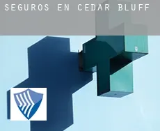 Seguros en  Cedar Bluff