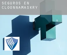 Seguros en  Cloonnamaskry