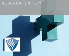 Seguros en  Loy