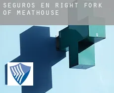 Seguros en  Right Fork of Meathouse